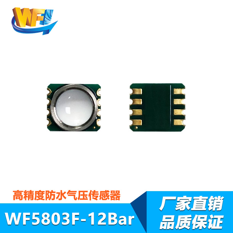 WF5803F-12Bar高精度防水开云体育下载安装